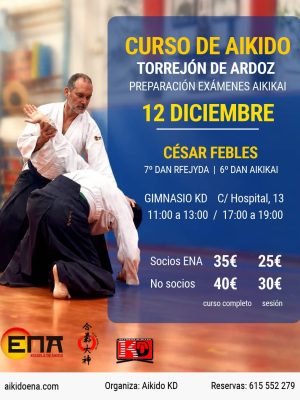 Curso Febles 12 diciembre 26 torrejon